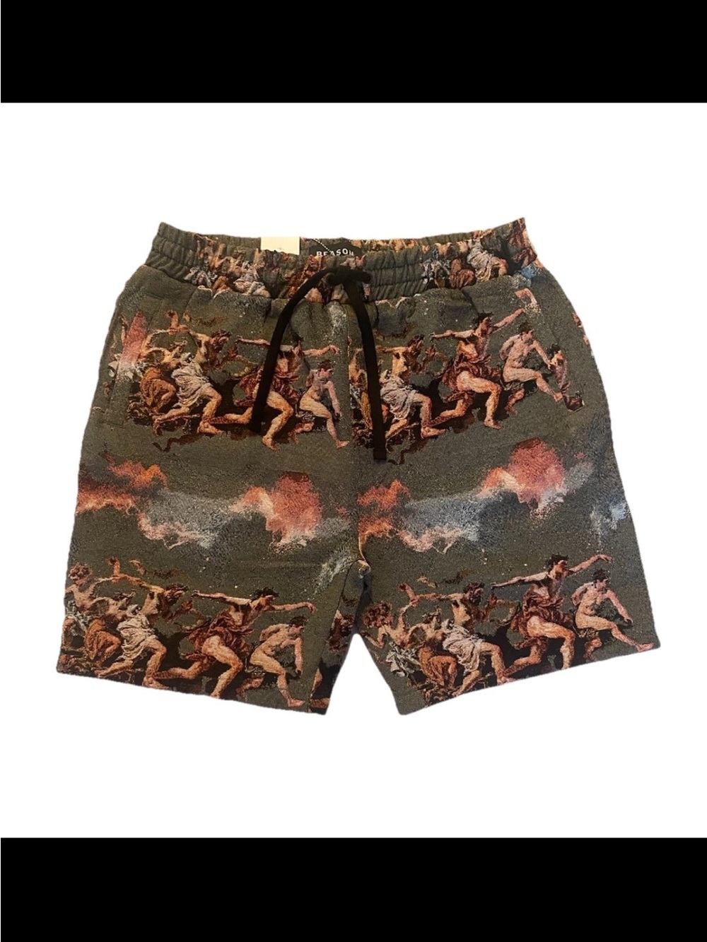 NWT Reasons Heavyweight Tapestry Woven Shorts Sz L